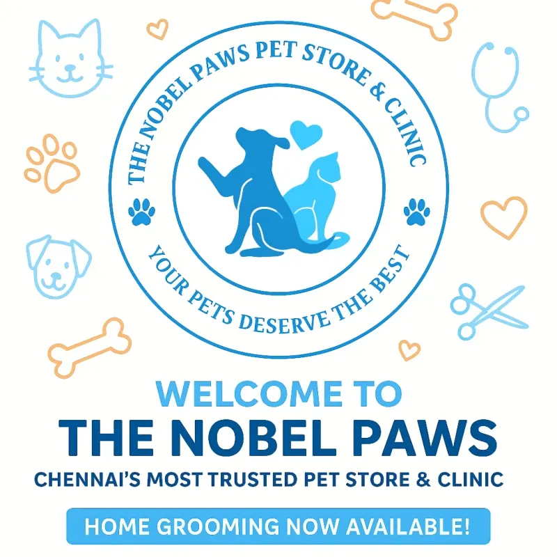 Clinic gallery image 4