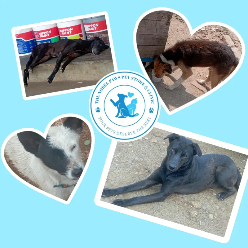 Clinic gallery image 6