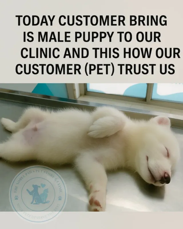 Clinic gallery image 7