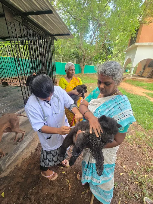 Clinic gallery image 20