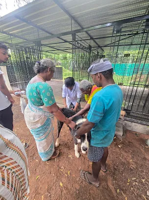 Clinic gallery image 21