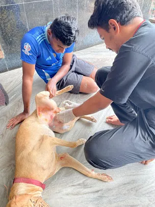 Clinic gallery image 25